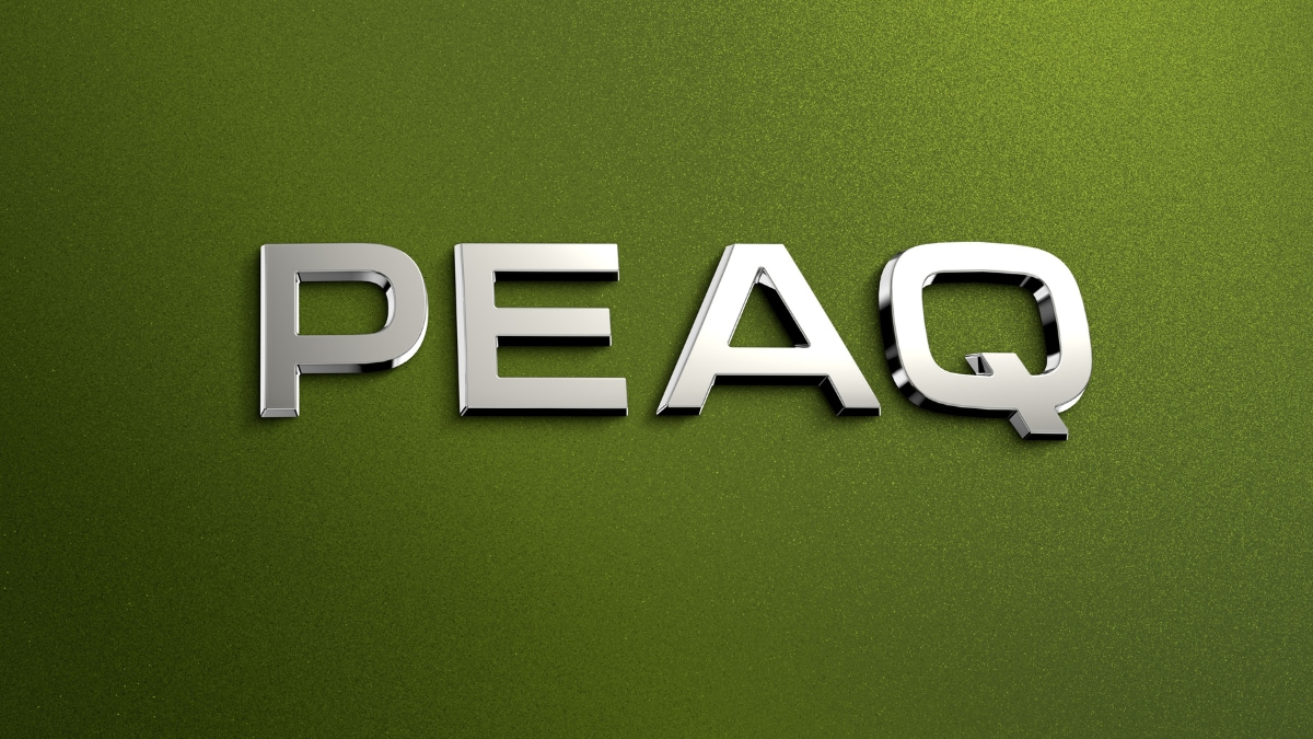 Skoda Peaq. The Upcoming 7-Seater EV from Skoda